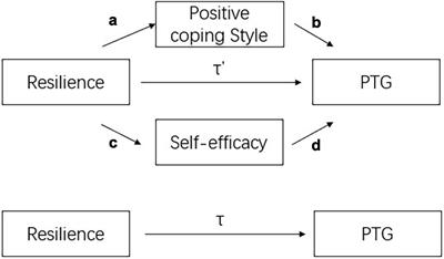 The Relationship Between Resilience and Posttraumatic Growth Among the Primary Caregivers of Children With Developmental Disabilities: The Mediating Role of Positive Coping Style and Self-Efficacy